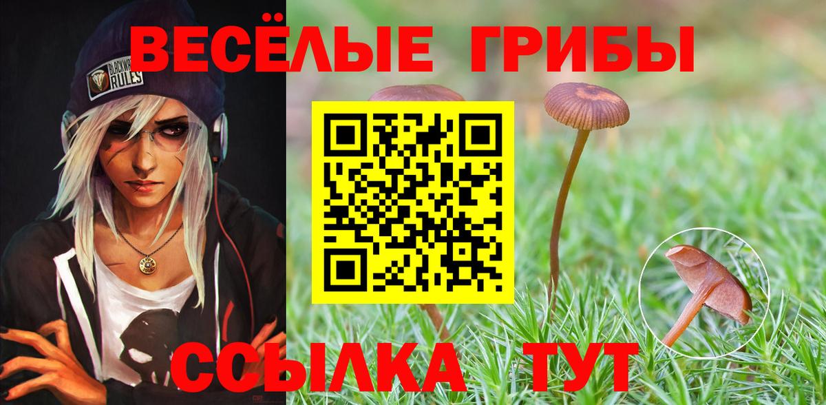 Псилоцибиновые грибы Psilocybe  Вход с VPN  Новошахтинск 